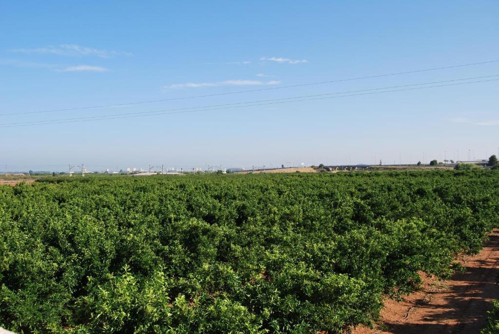 Cuatro Hermanas Sagunto Exterior photo